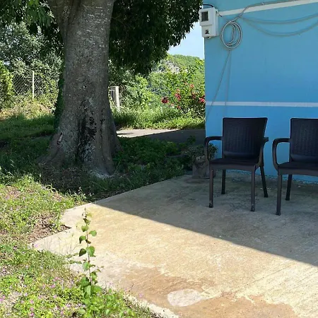 Bodini Mountain House Holiday home